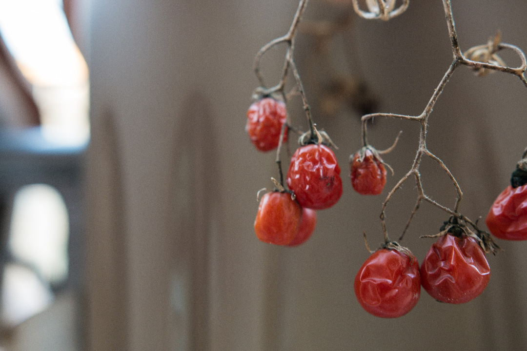 Was ist eigentlich Rebellion?